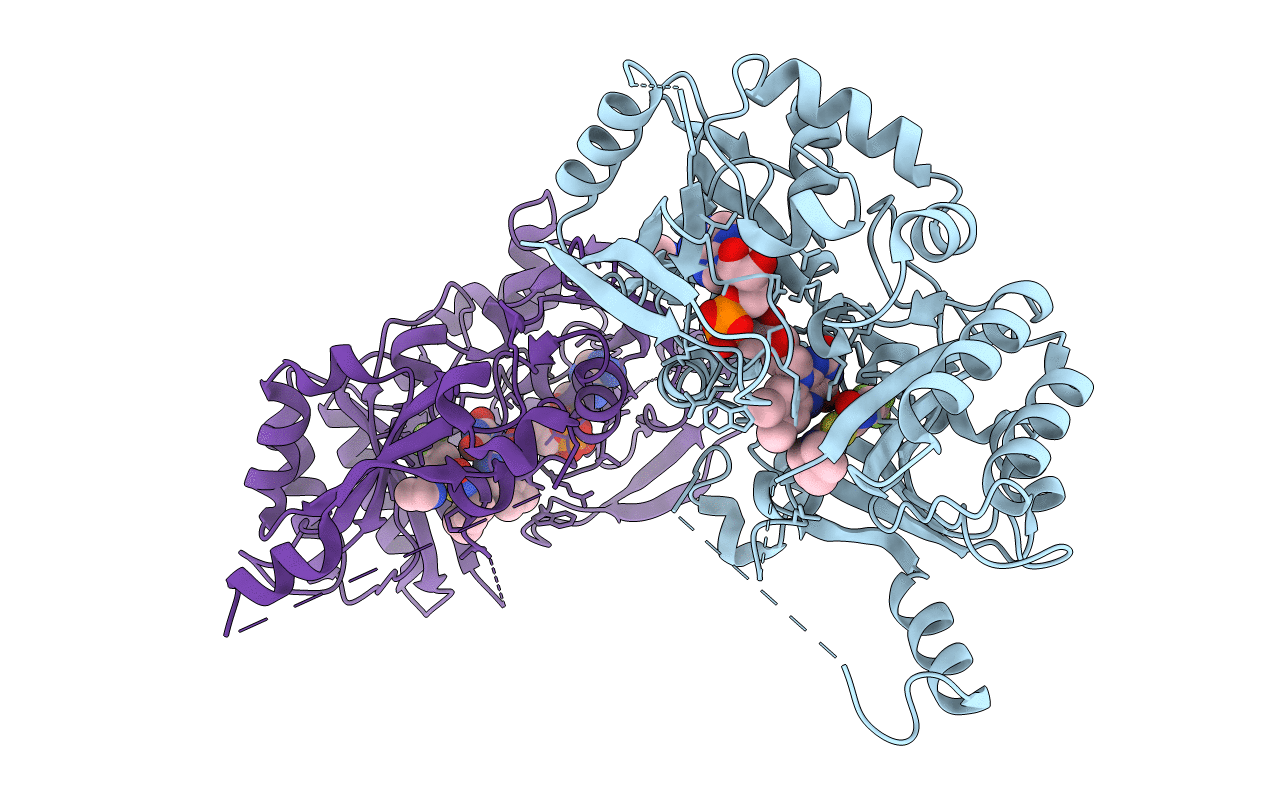 6HFV image