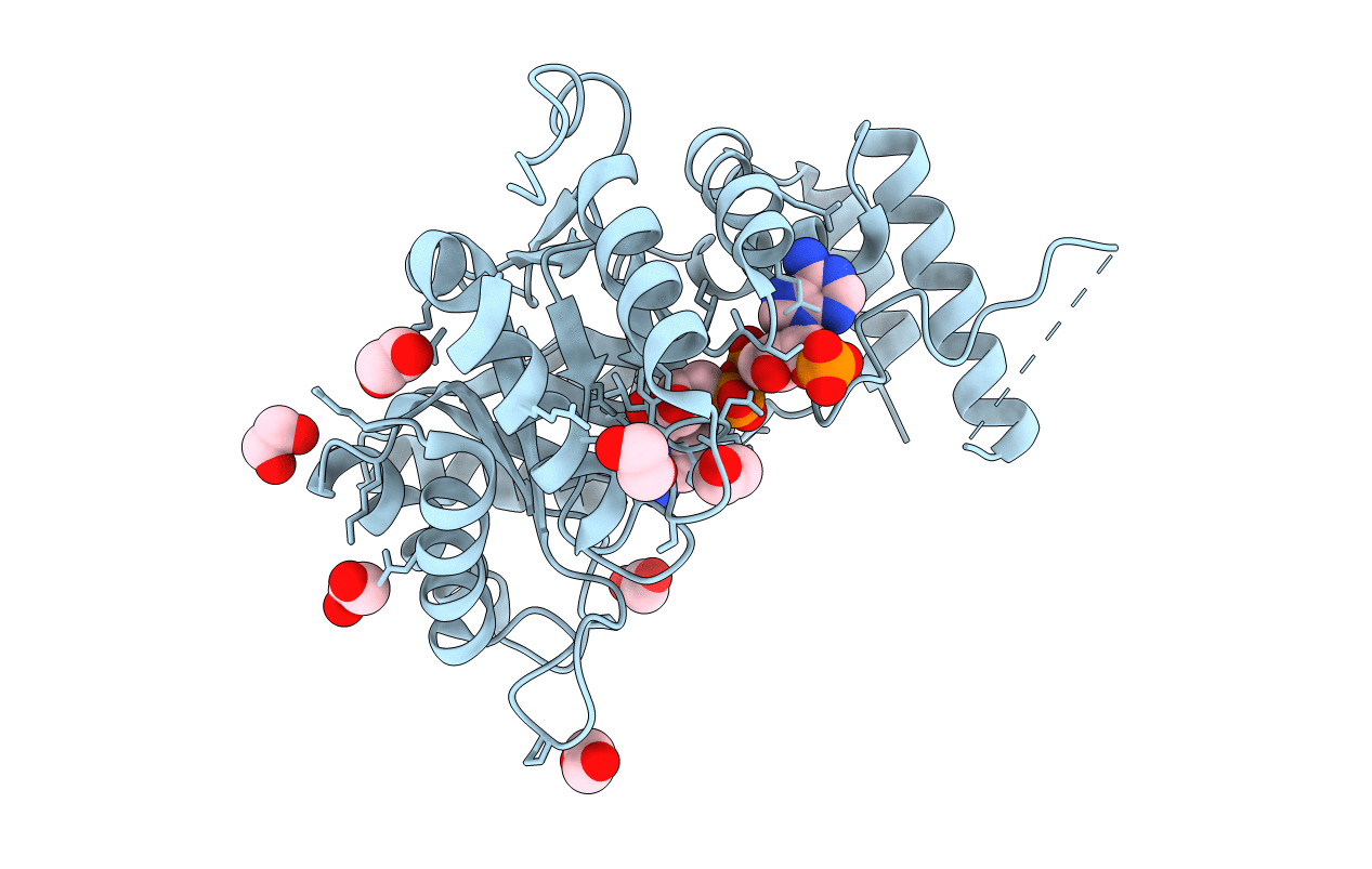 6HG6 image