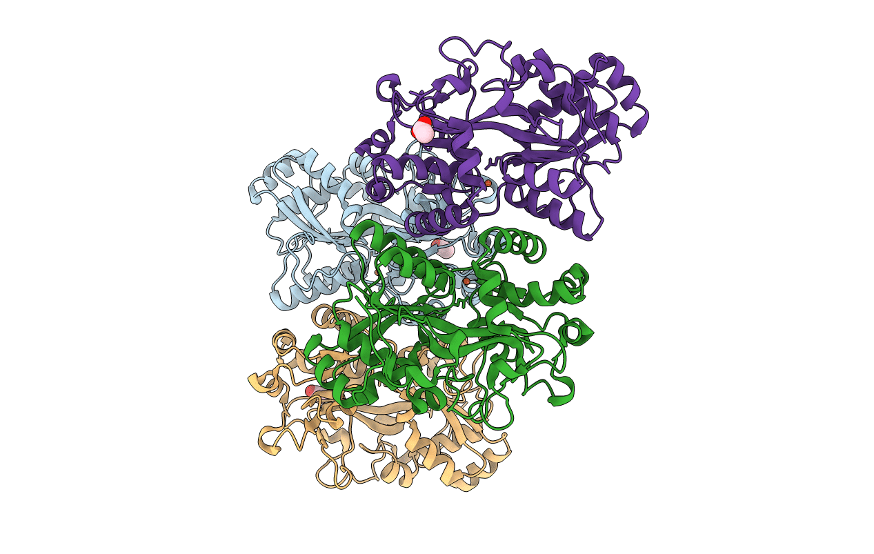 6HHB image