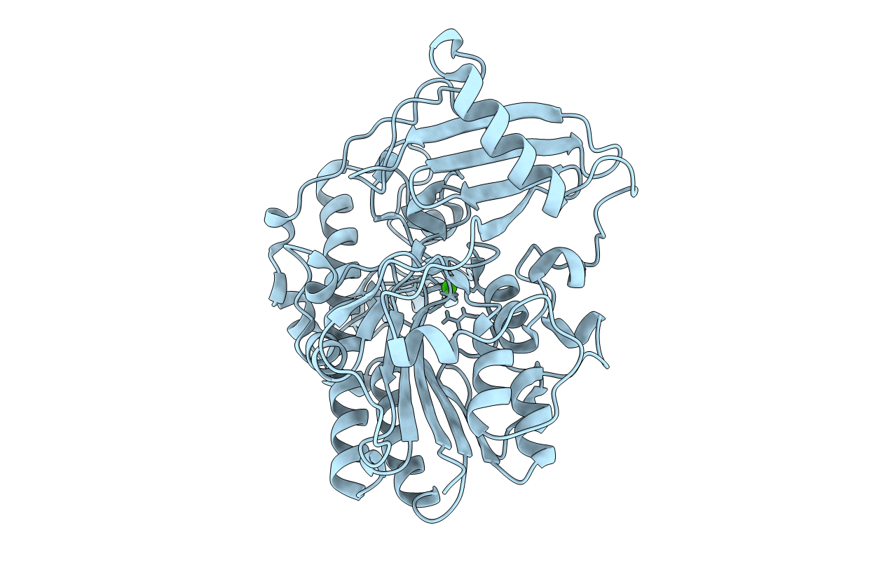 6HHM image