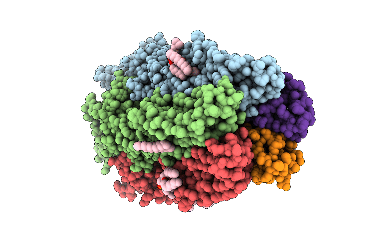 6HJB image