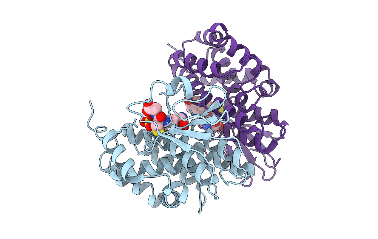 6HJS image