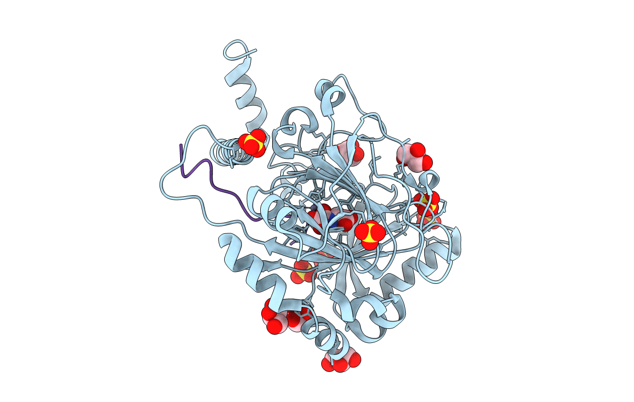 6HKP image