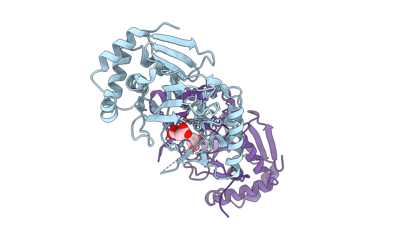 6HL8 image