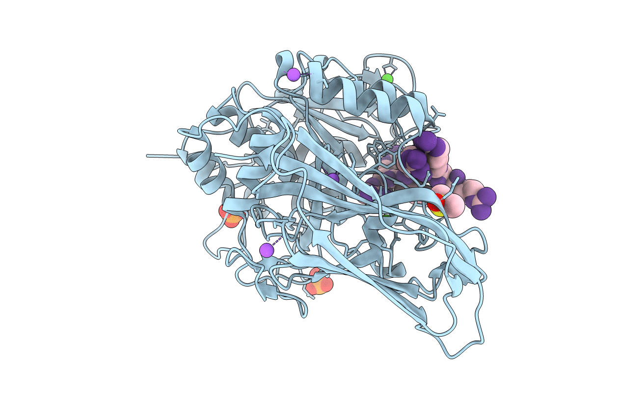 6HLB image