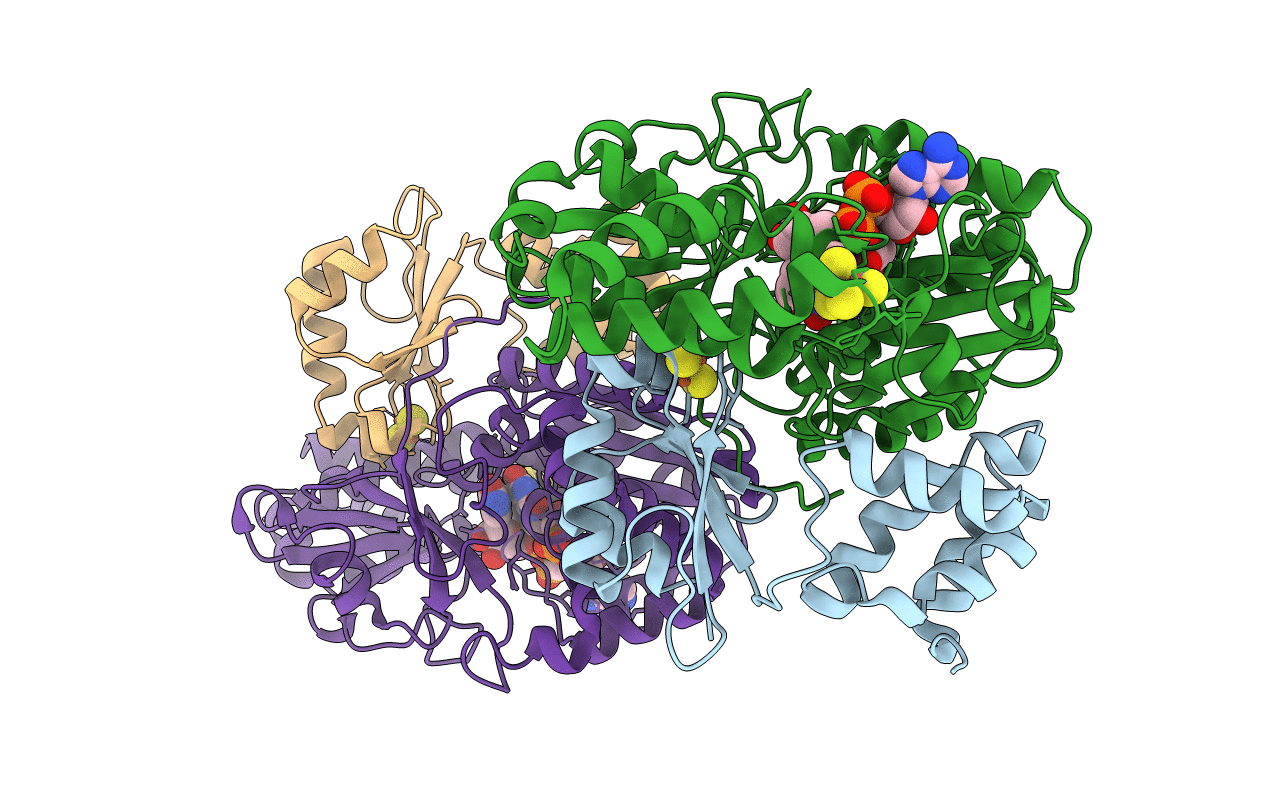 6HLI image