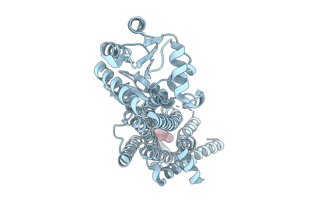 6HLL image