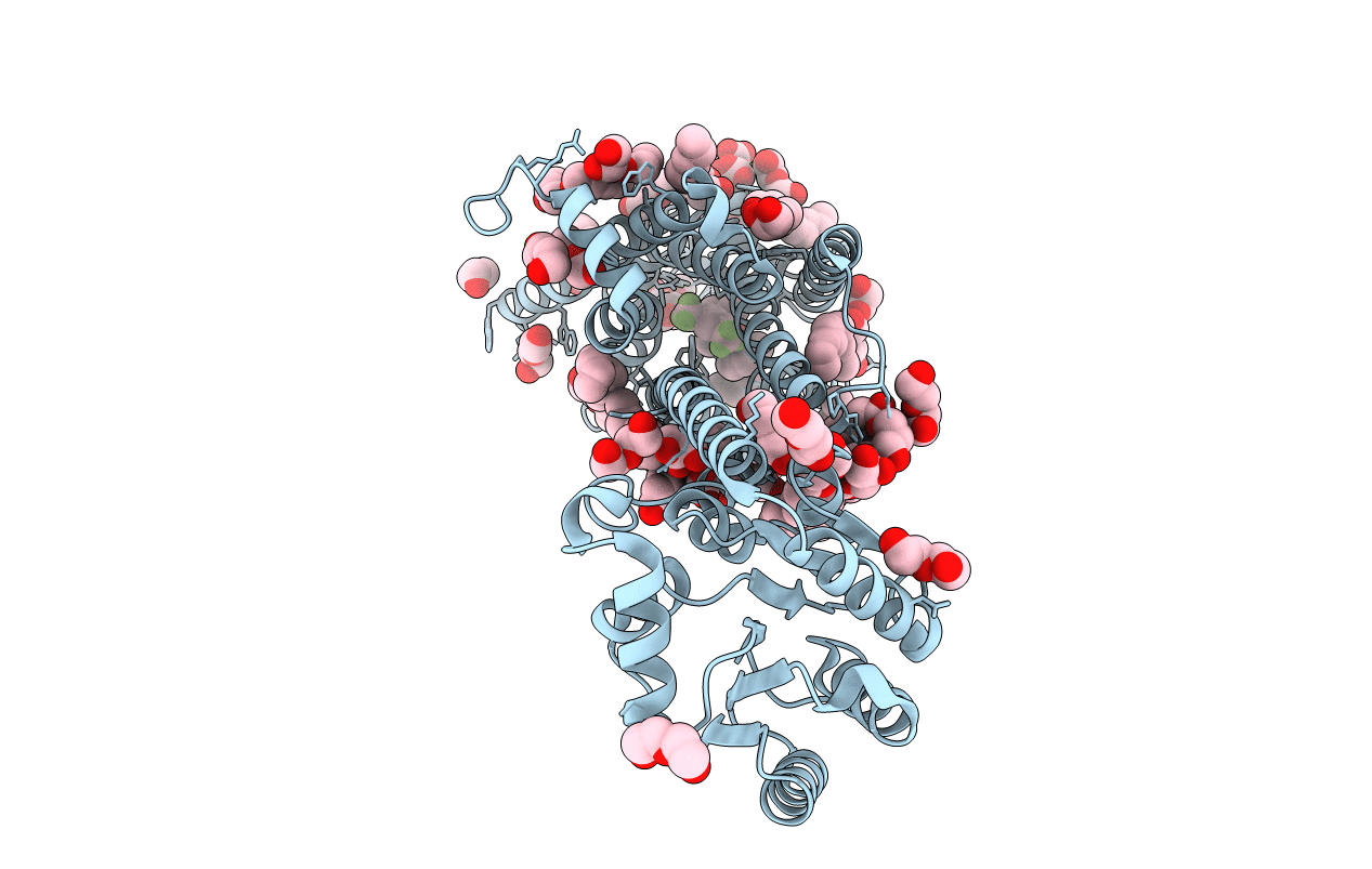 6HLP image