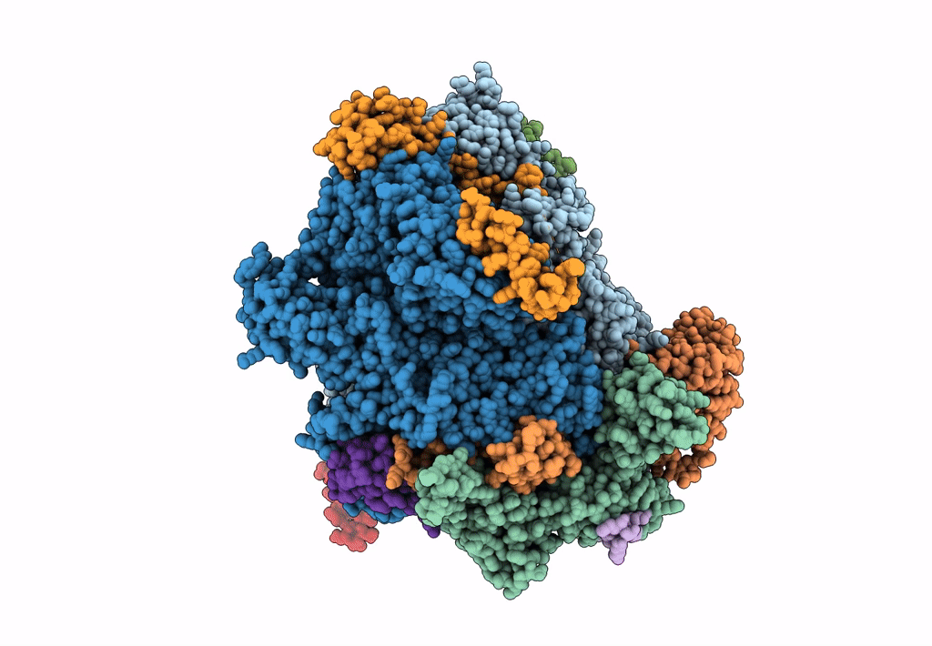 6HLS image