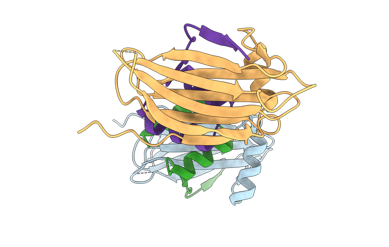 6HLT image