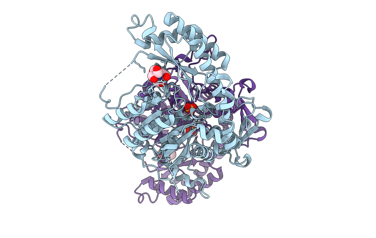 6HNB image