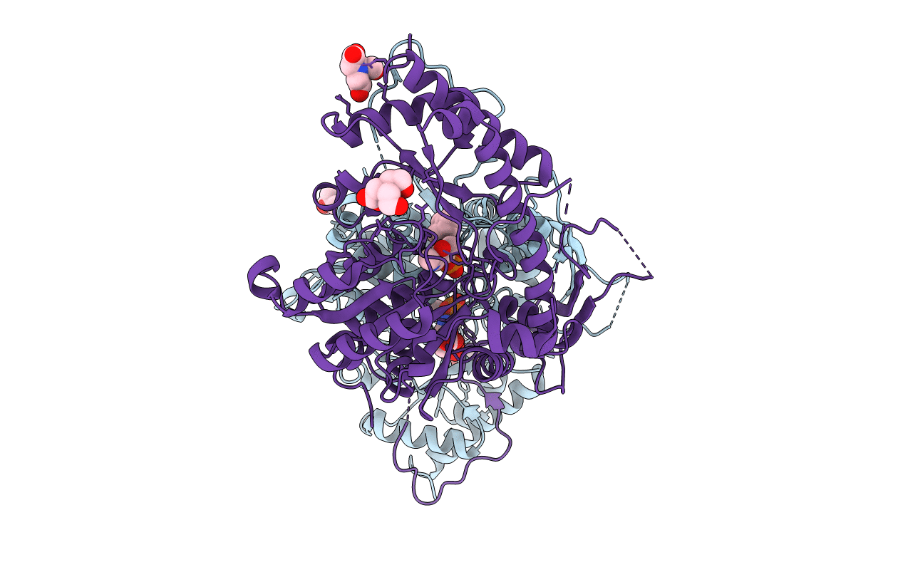 6HNV image