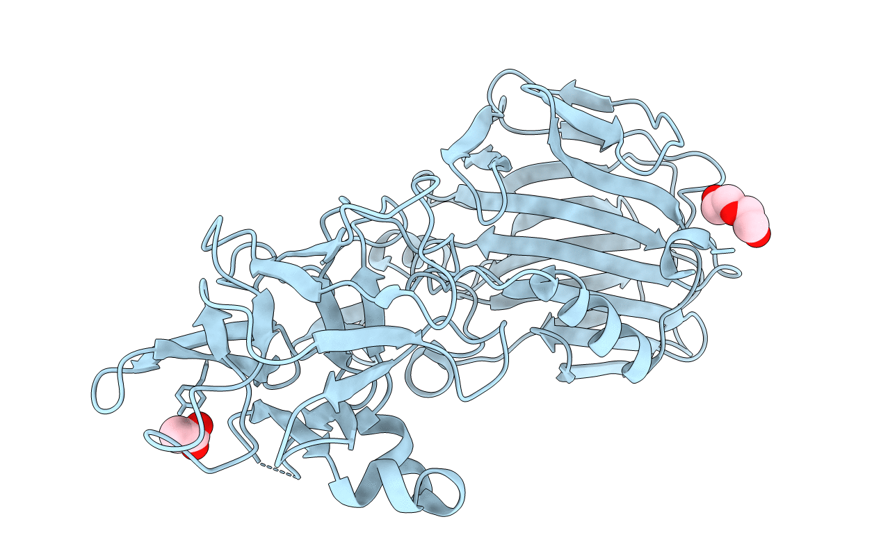 6HOX image