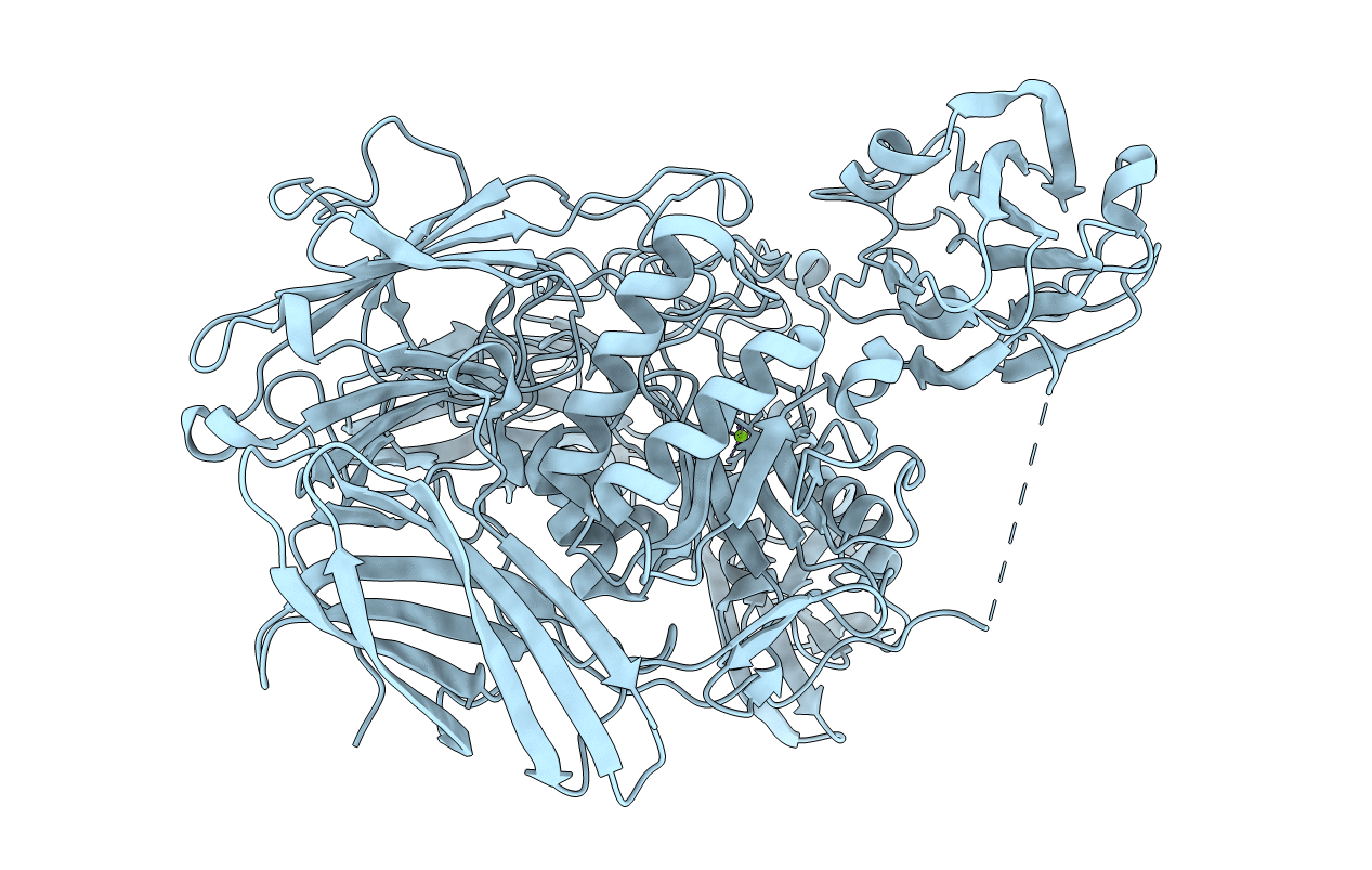 6HPD image