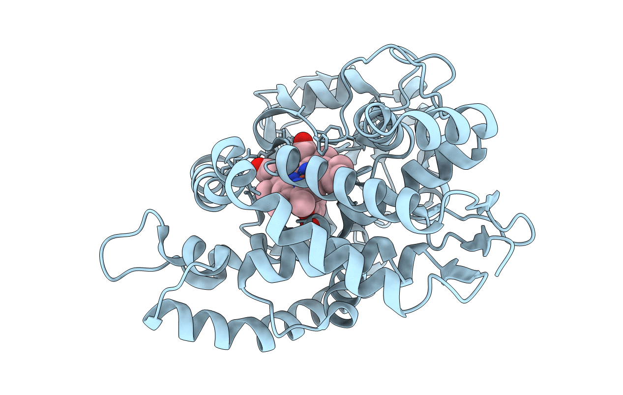 6HQP image