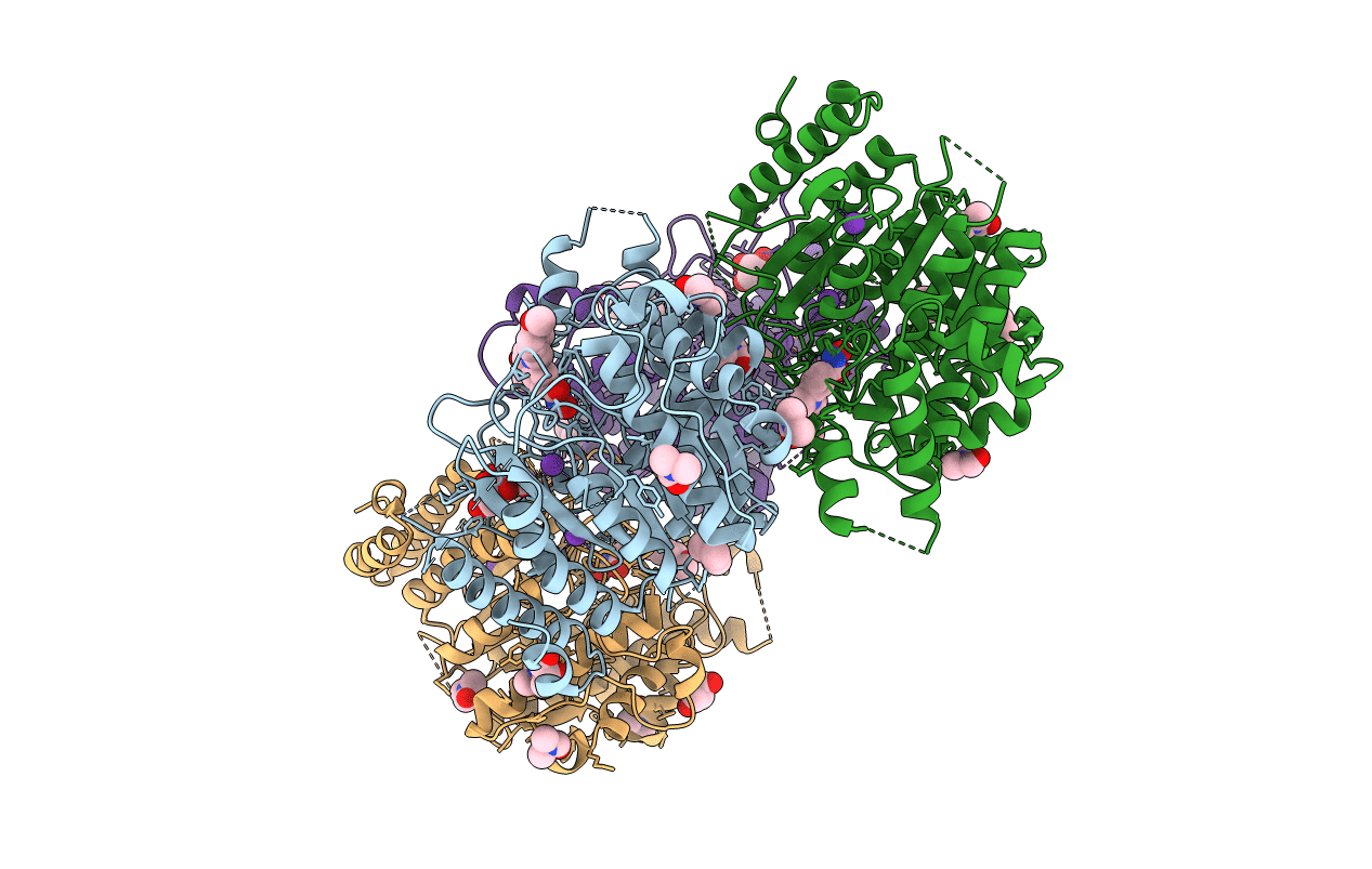 6HSF image