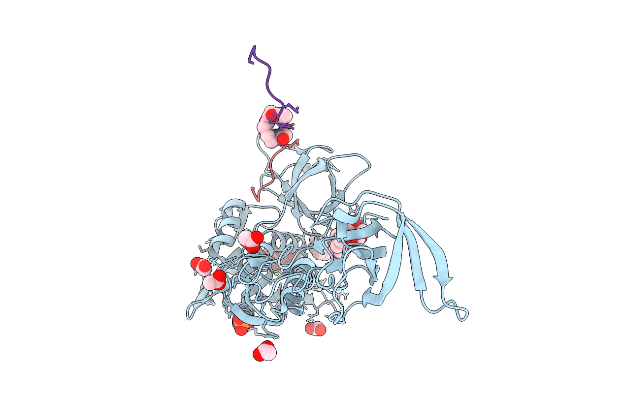 6HSN image