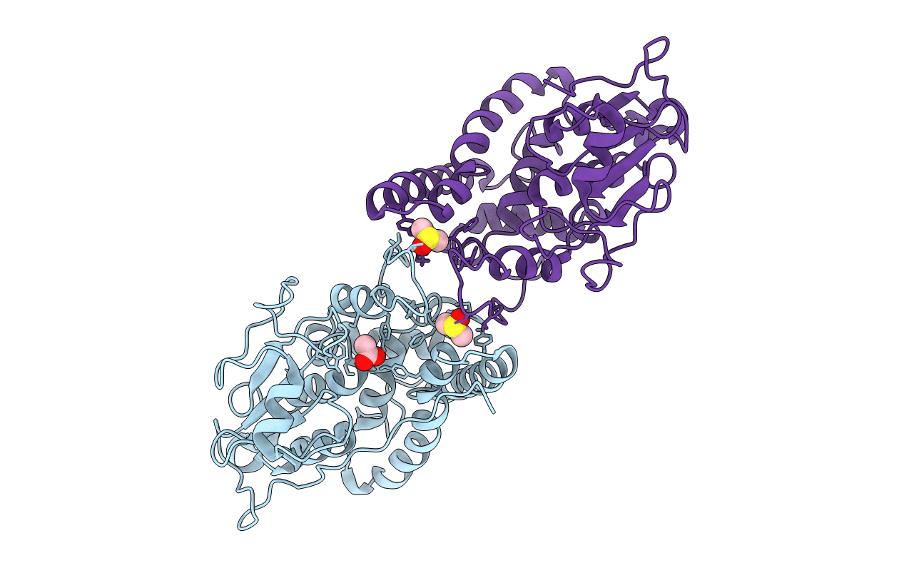 6HTA image