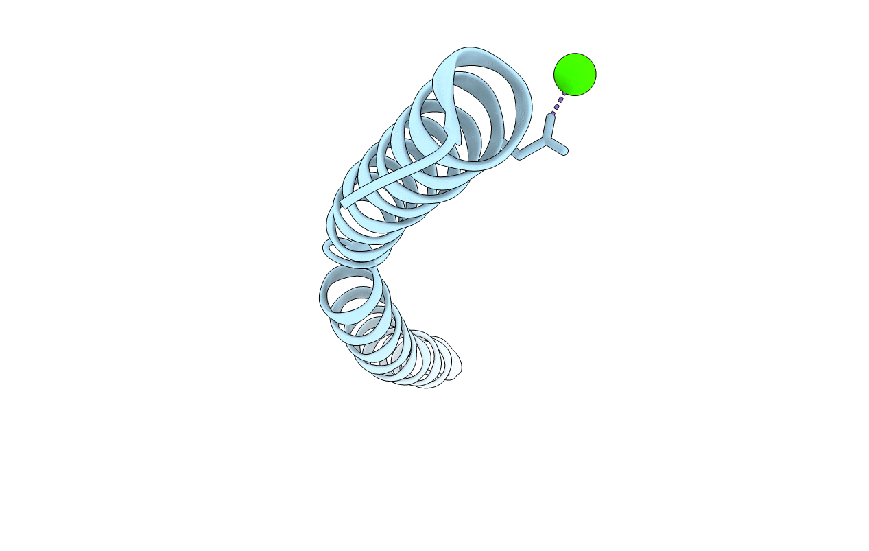 6HTL image
