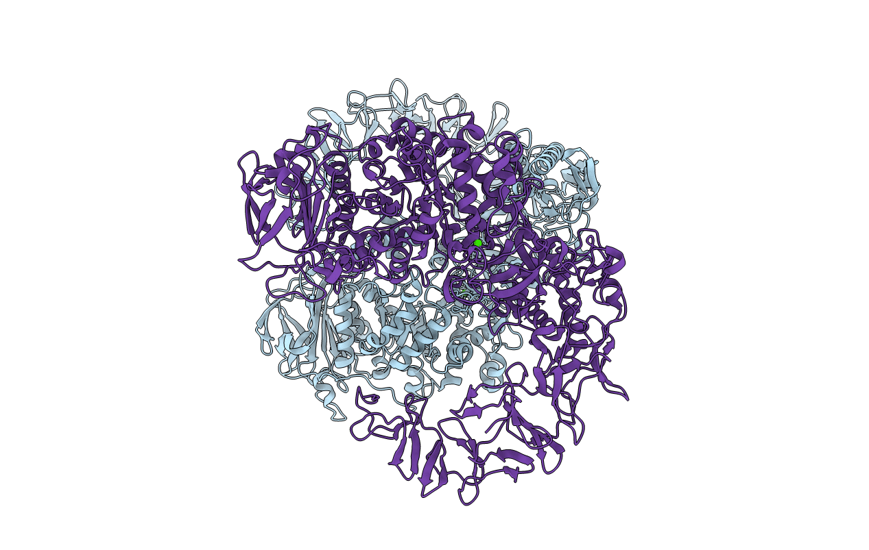 6HVG image