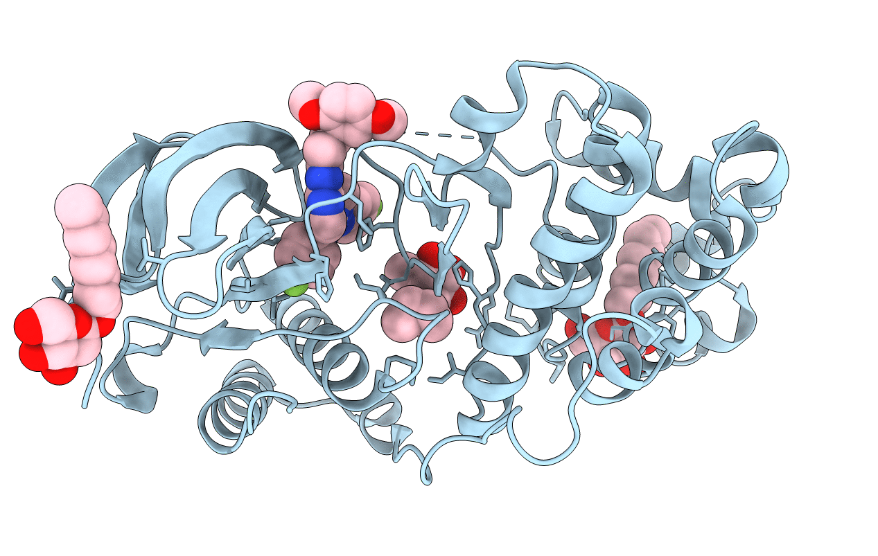 6HWV image