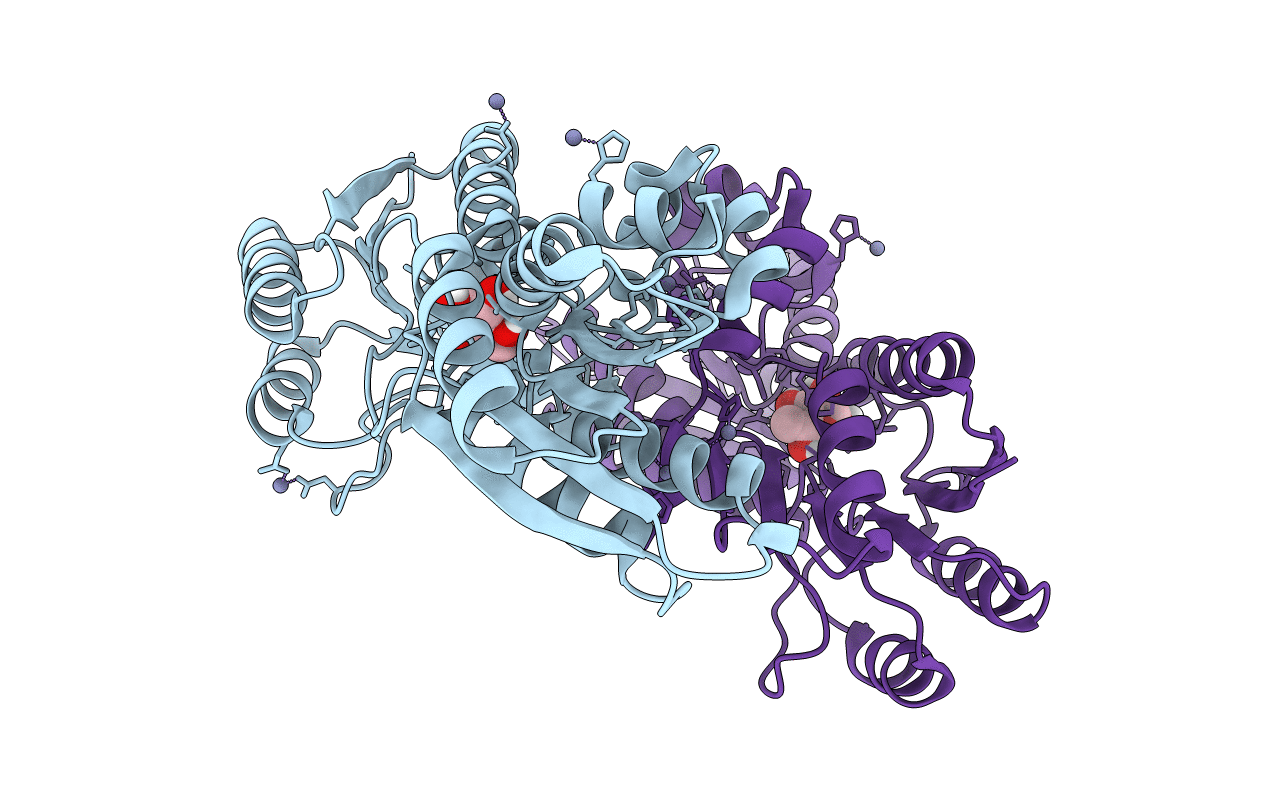 6HYH image