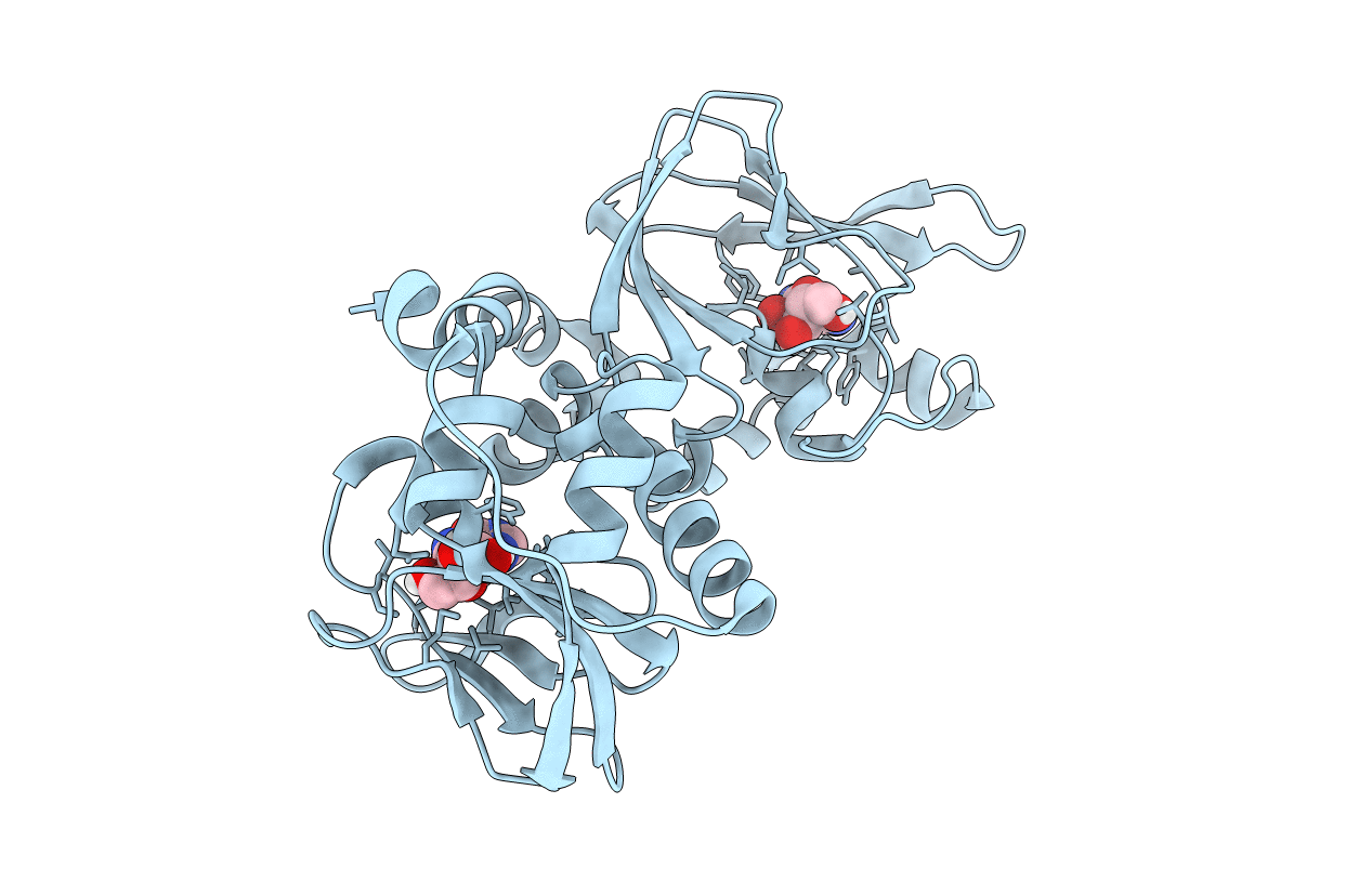 6HYI image