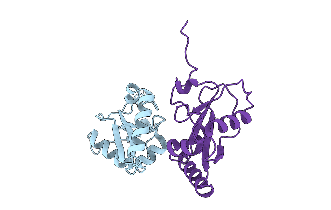 6HYL image