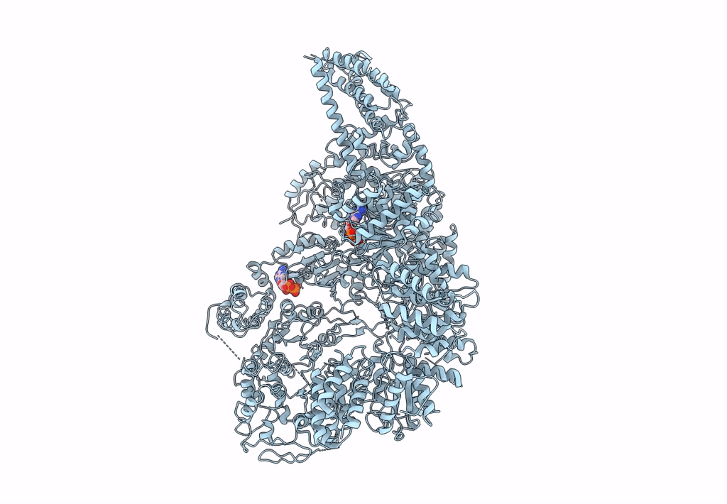 6HYP image