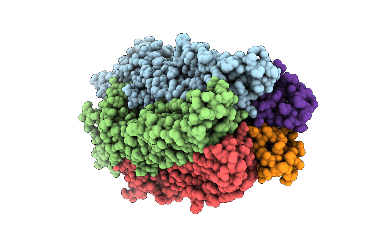 6HYR image