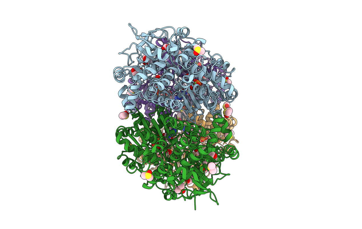 6HYT image