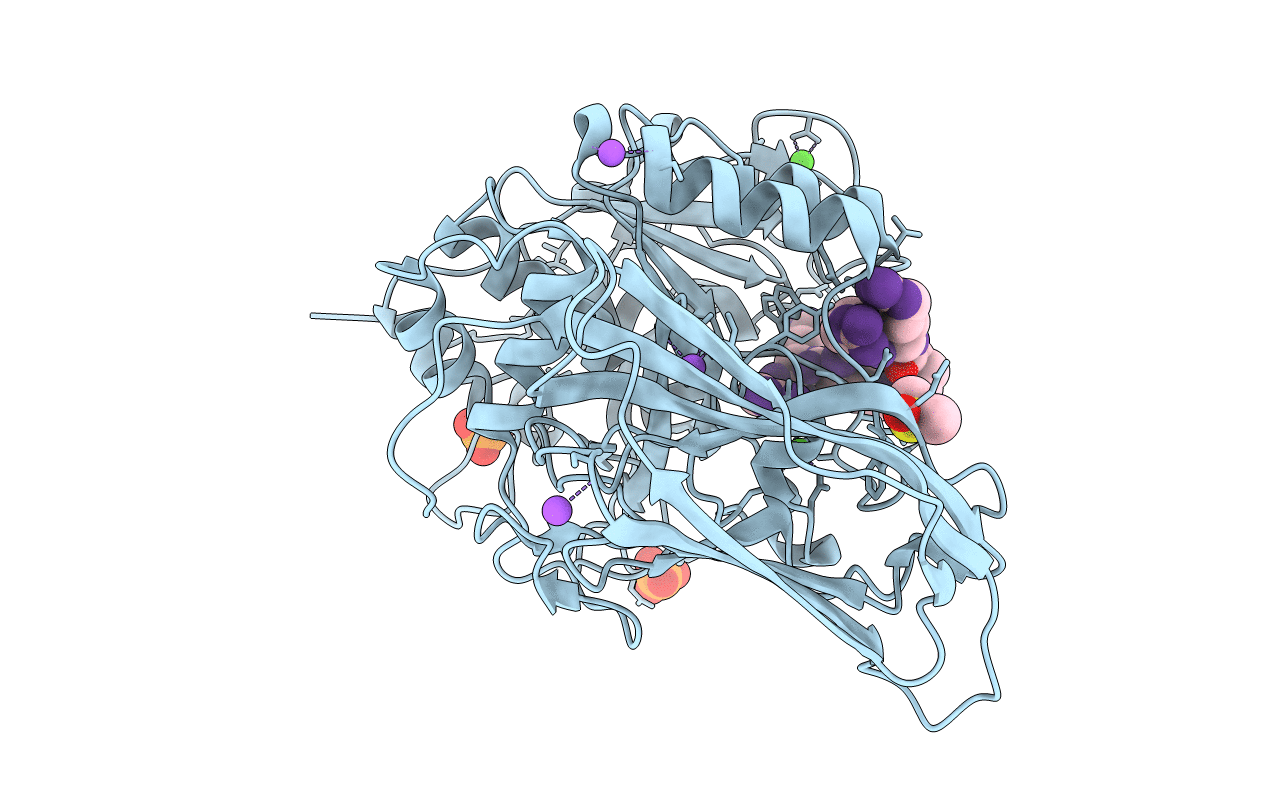 6HZB image