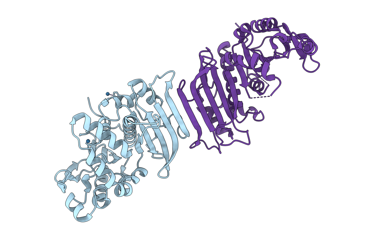 6HZL image