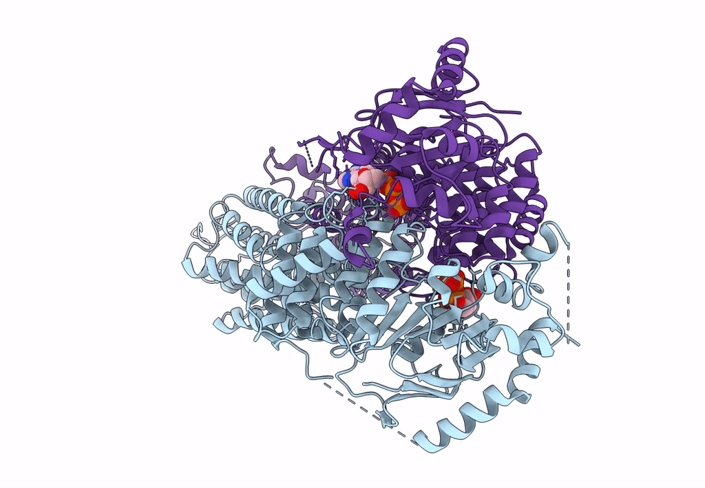 6HZM image
