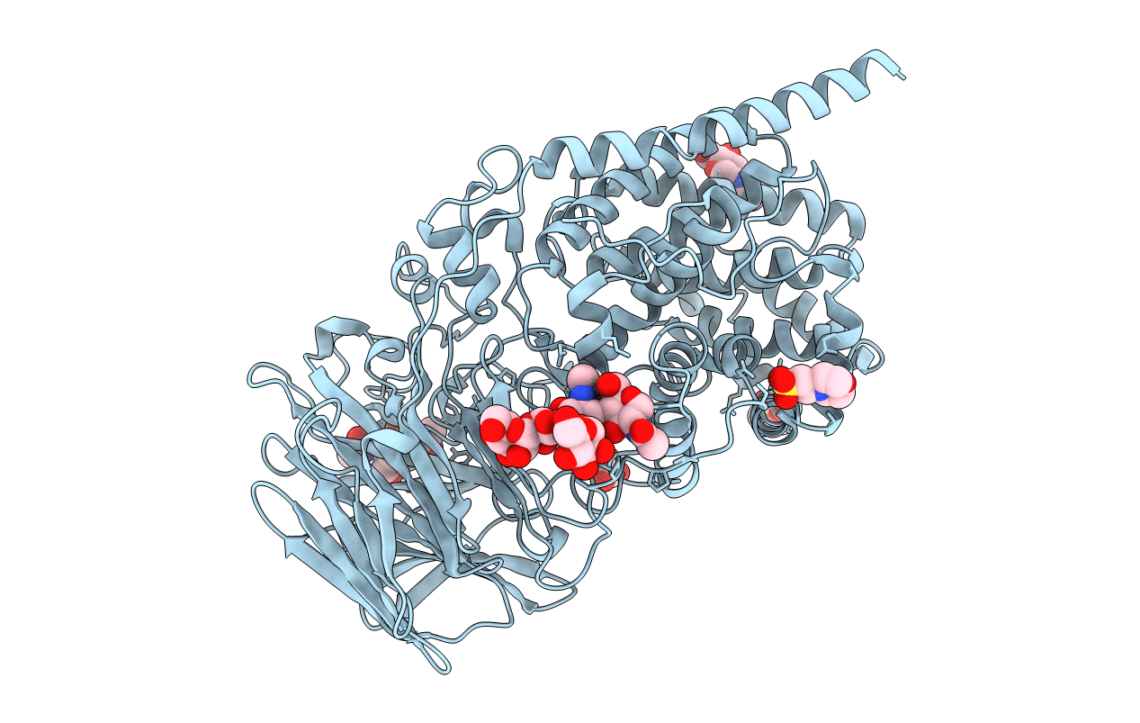 6HZN image