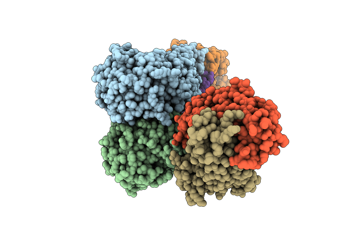 6I04 image