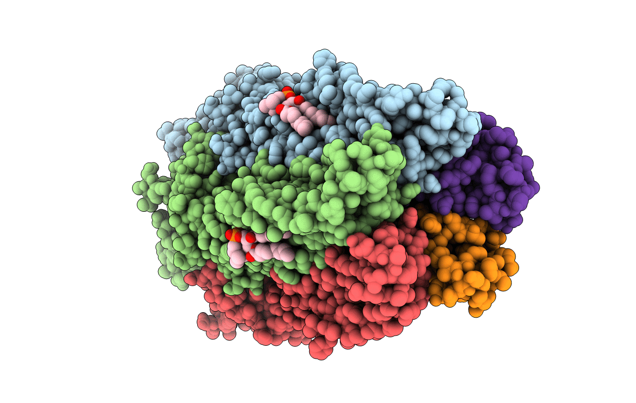 6I08 image