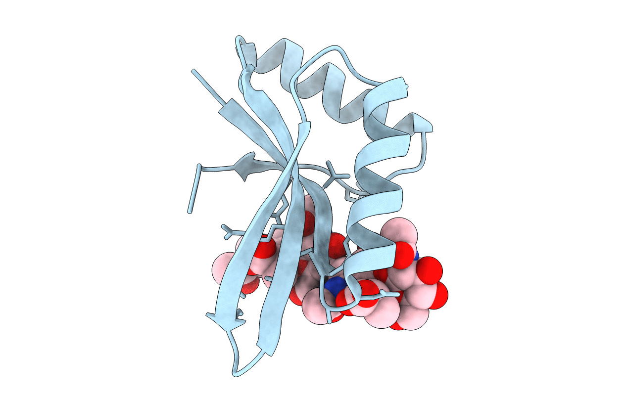 6I09 image