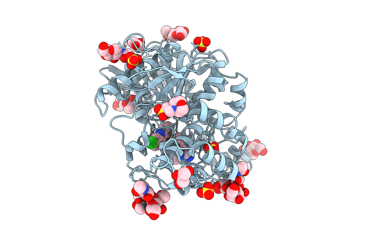 6I0B image