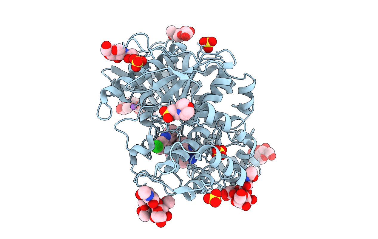 6I0C image