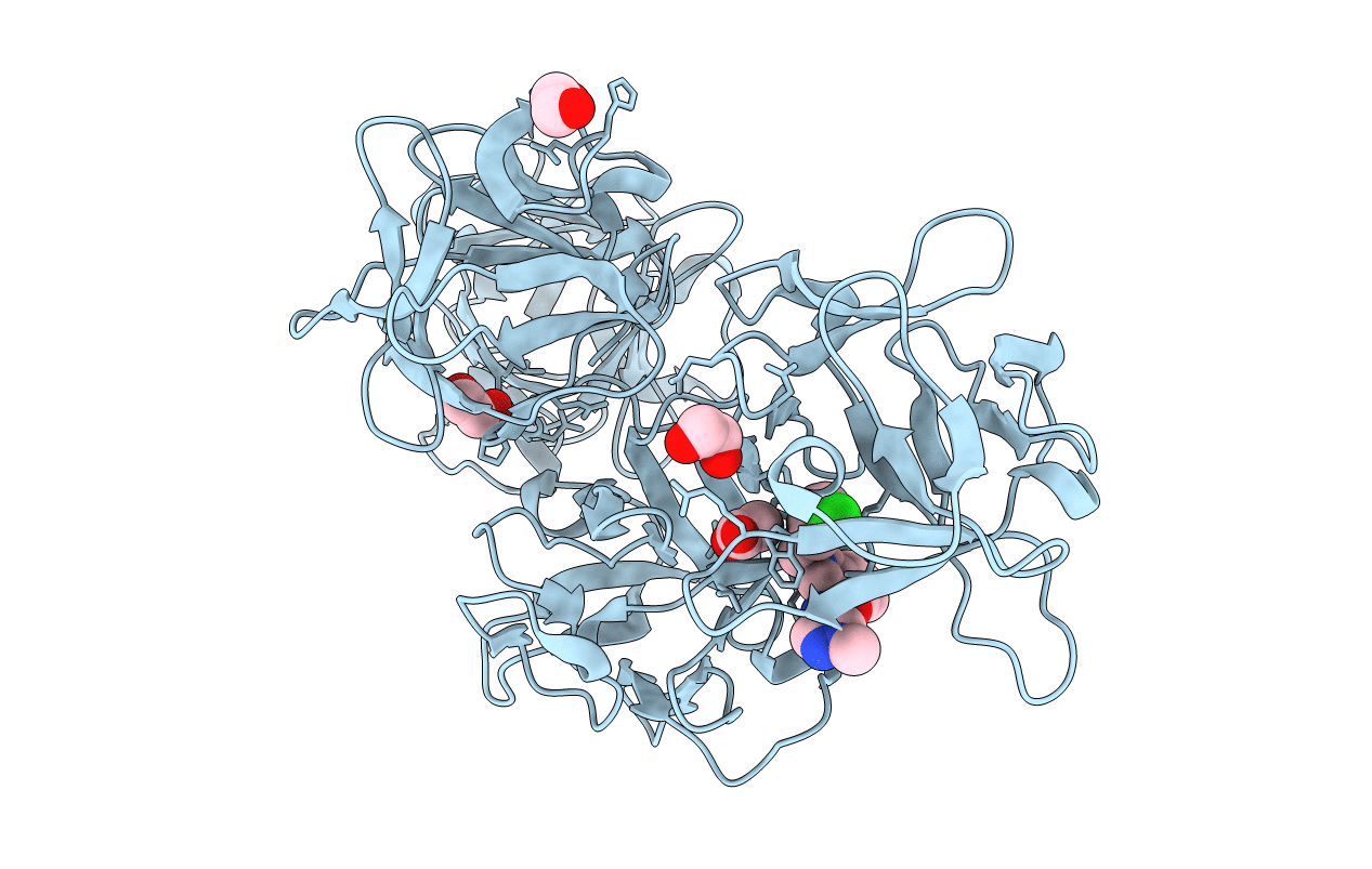 6I13 image