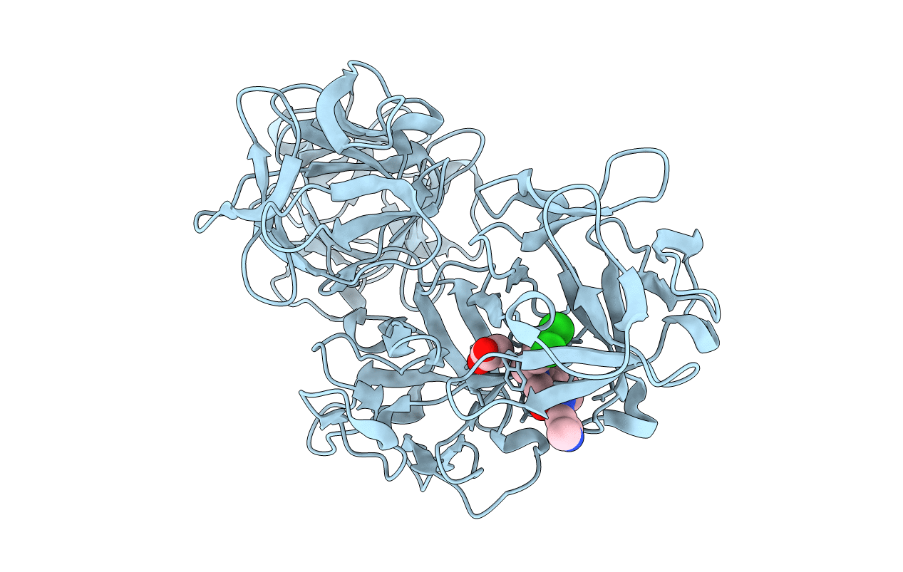 6I16 image