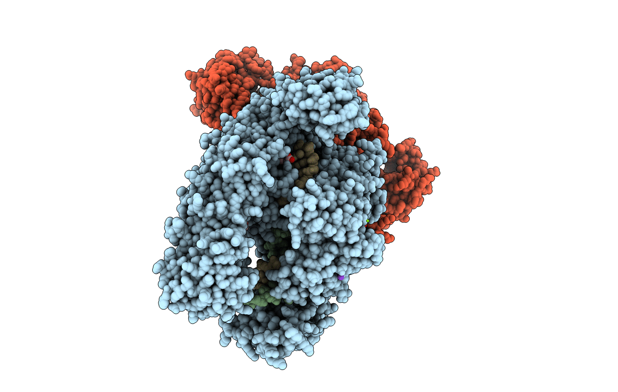 6I1L image
