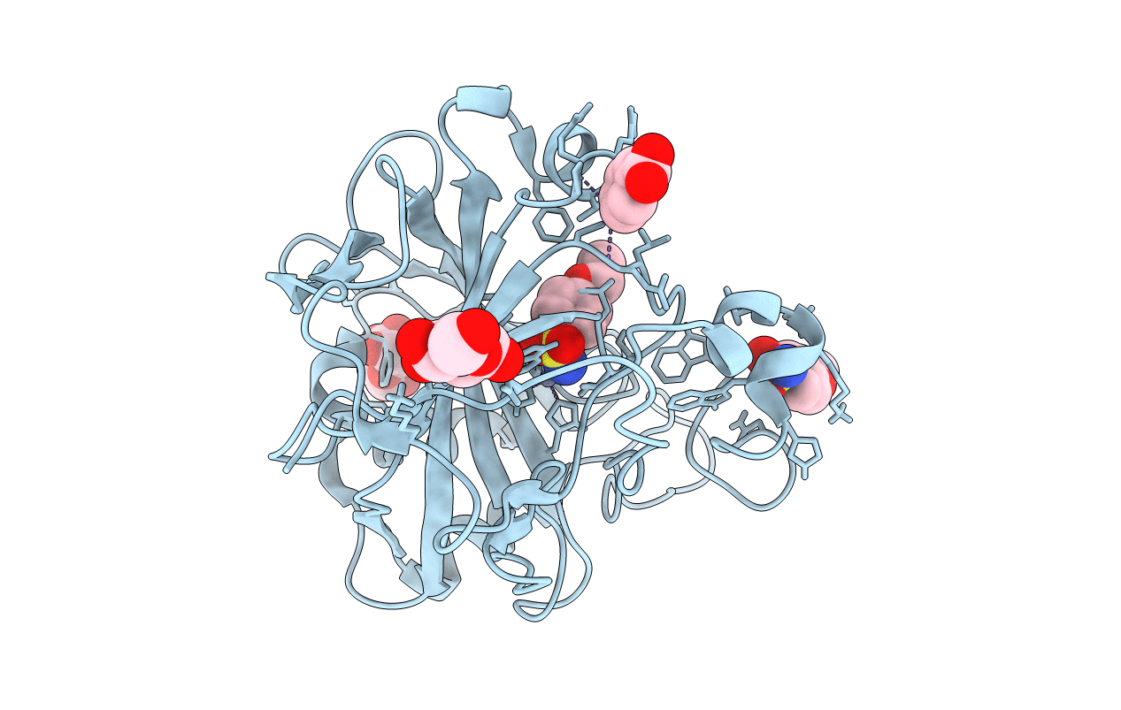 6I1U image