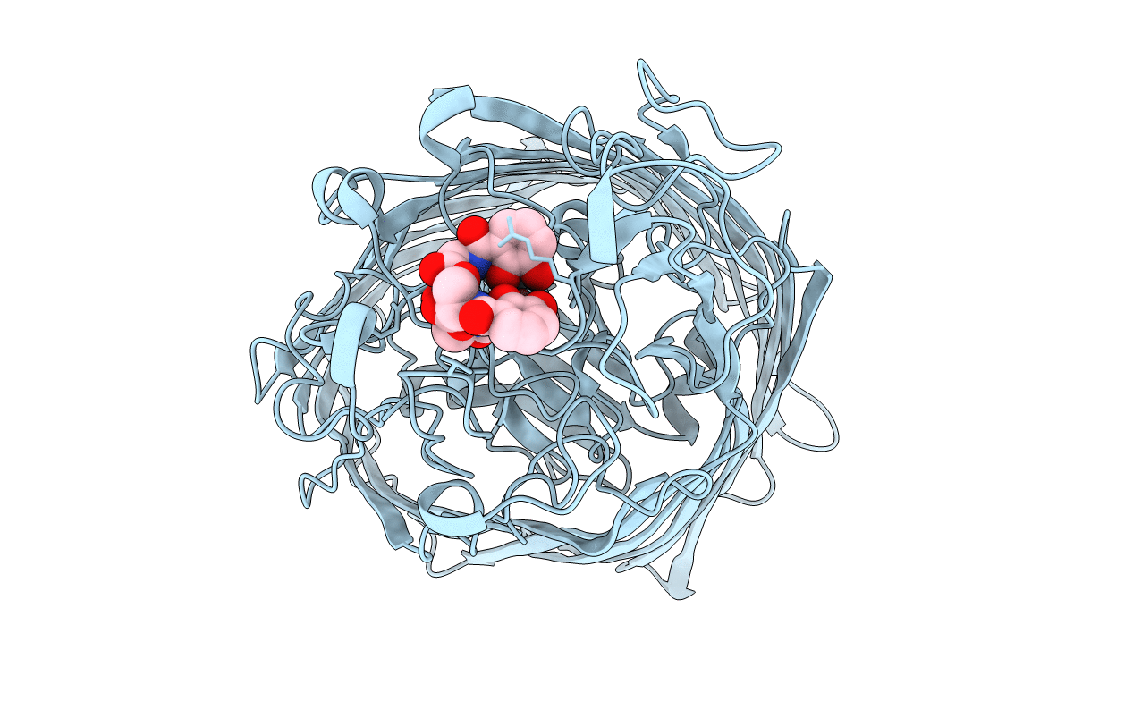 6I2J image