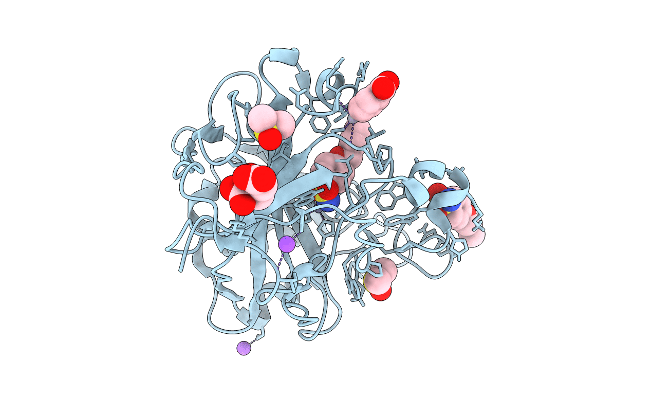 6I3E image