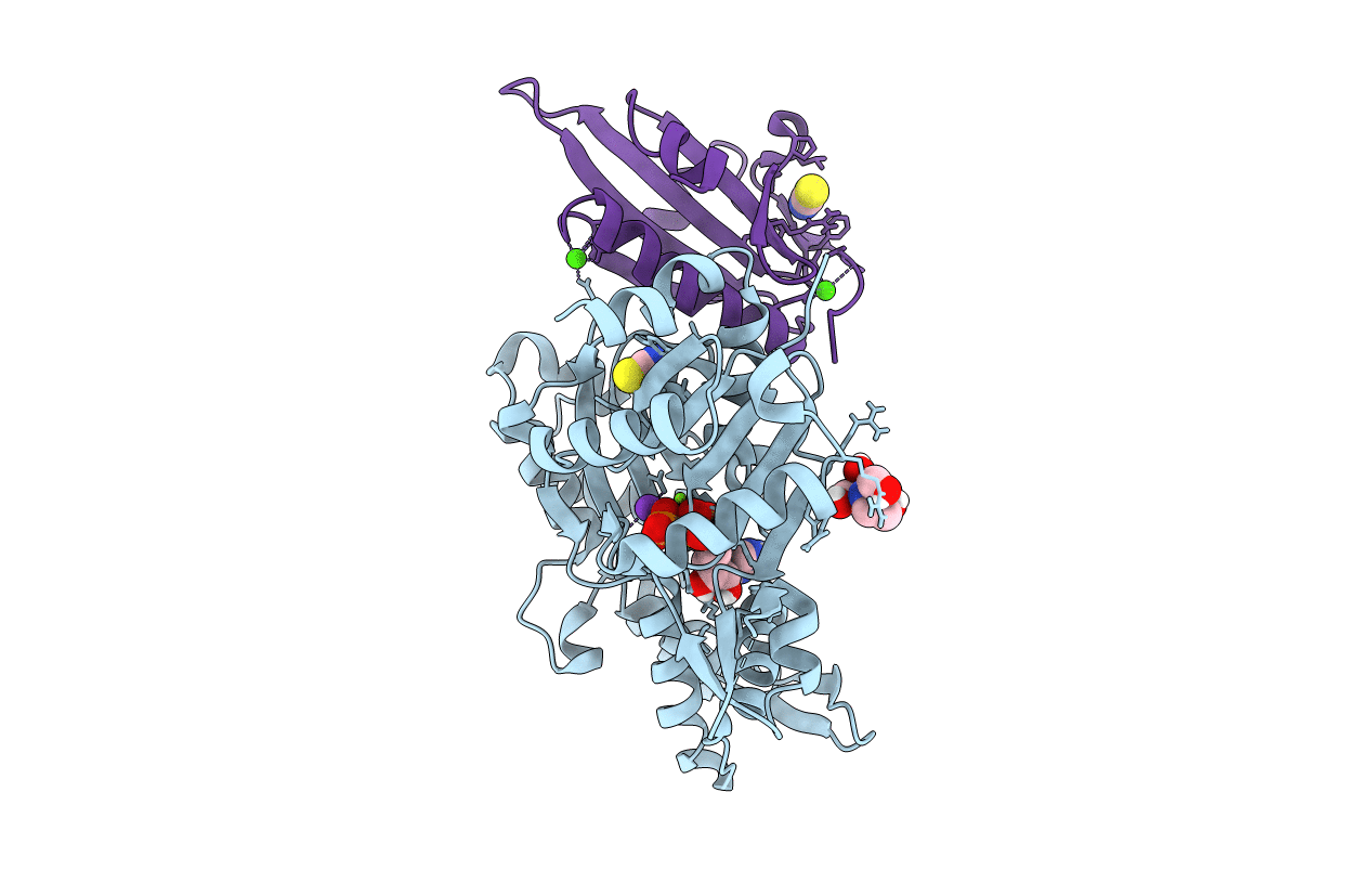 6I4D image