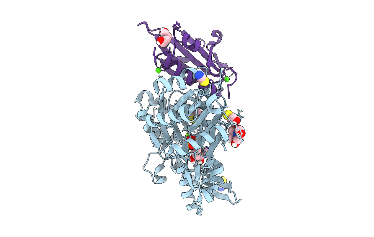 6I4E image