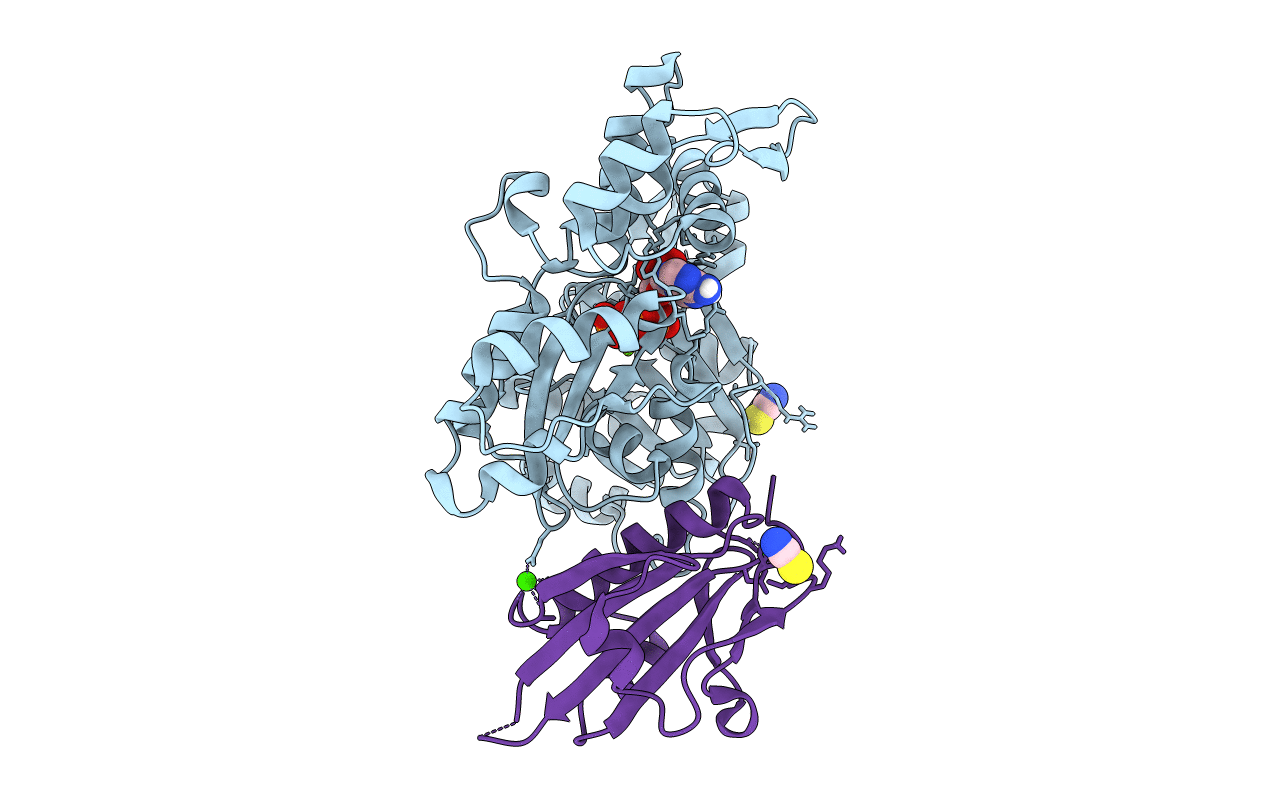 6I4L image