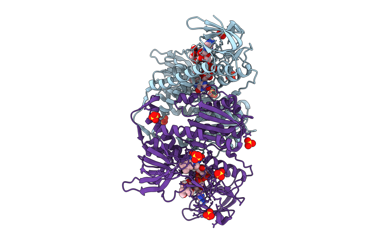 6I4R image